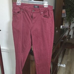 Earl Jeans Women's Burgundy Skinny Jeans